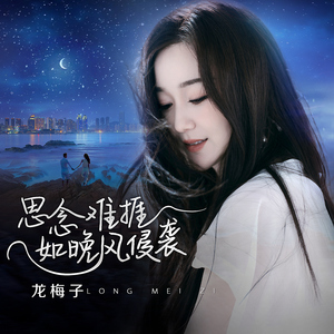 天天视频免费入口
