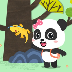 天天视频免费入口
