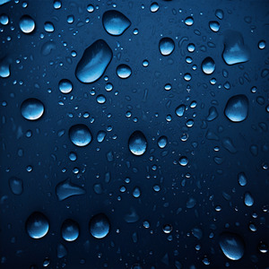 天天视频免费入口
