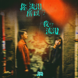 天天视频免费入口
