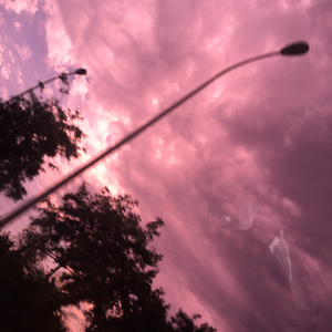 天天视频免费入口
