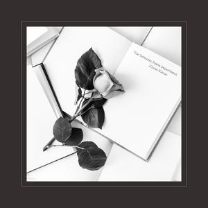 天天视频免费入口
