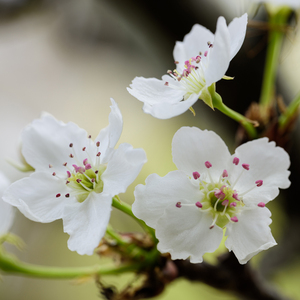 天天视频免费入口

